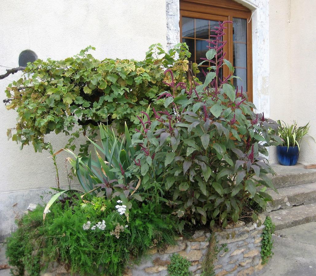 Chambre D'Hotes Oiron, Deux Sevres - Not Near Taize, Burgundy Bed & Breakfast Exterior photo